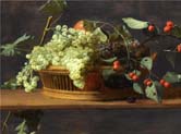 still life of blue and white grapes